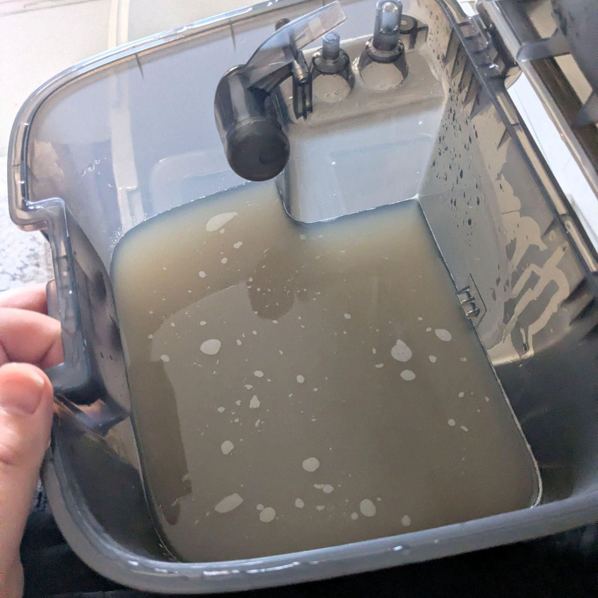 Dirty water tank of the. MOVA P50 Pro Ultra Robot Vacuum, filled with brown water