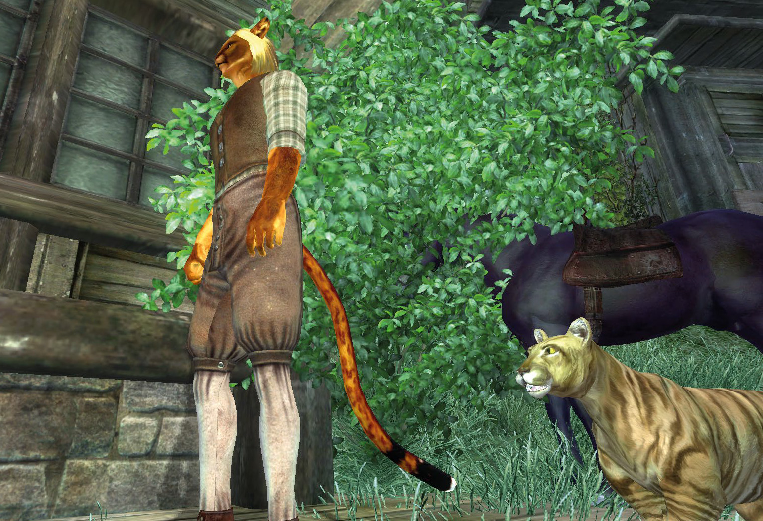 Oblivion Elswyr mod The Deserts of Anequina
