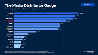 Nielsen Monthly Viewing by Distributor