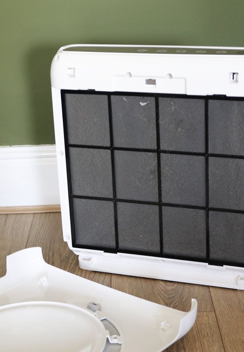 Coway Airmega Mighty Air Purifier with the backing removed, revealing paneled filter inside, in front of greenwall on wooden floor in Gabriella Dyson's home