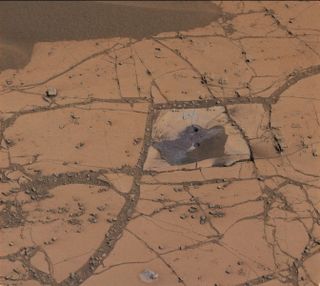 This image shows the first holes drilled by NASA's Mars rover Curiosity at the base of Mount Sharp. Curiosity drilled into an outcrop dubbed Pahrump Hills in late September 2014.