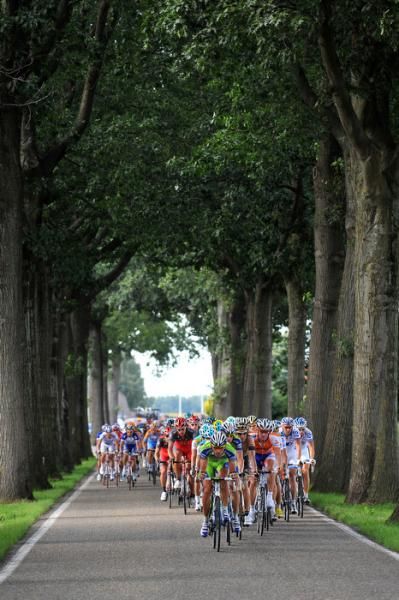 The peloton on a narrow, country lane at the Eneco Tour