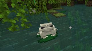 Minecraft frogs in swamp