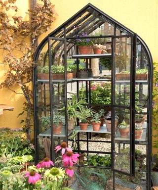 wall greenhouse from Wilstone