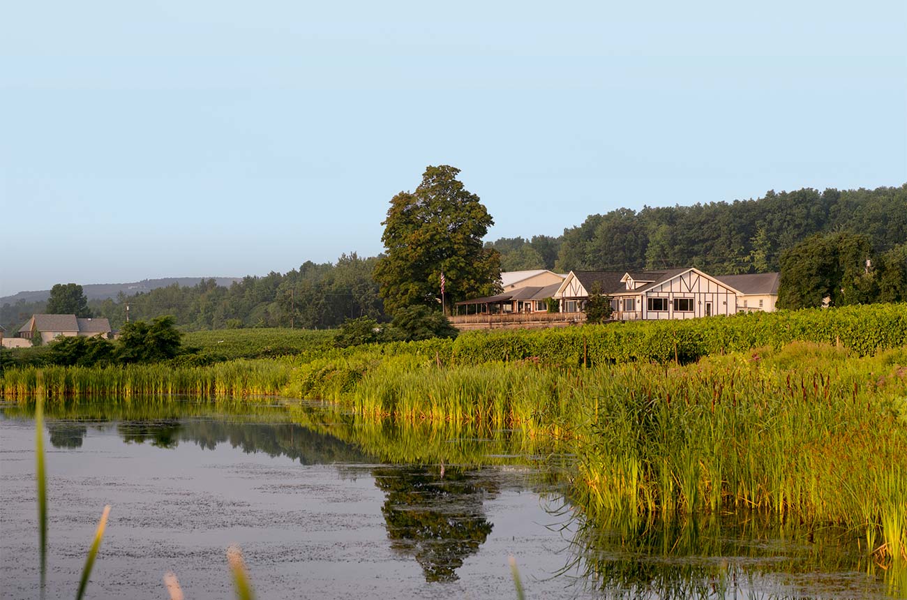 New york state producers