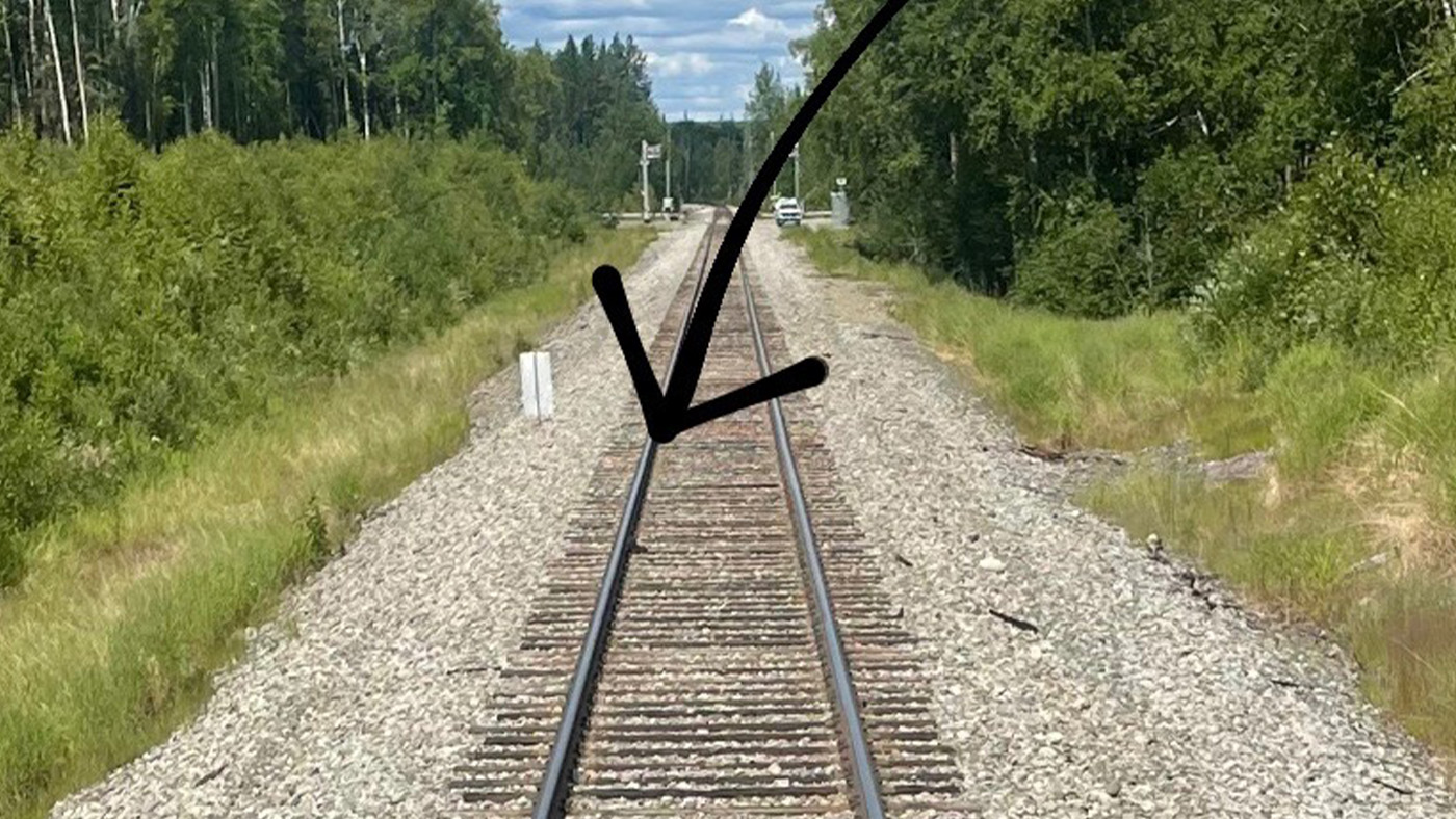 Kitten on railroad