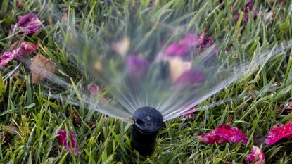 Sprinkler system watering the lawn