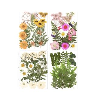 4 rectangles with pressed flowers - 1 yellow, 1 white and pink, 1 white, and 1 with green fern