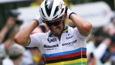 Julian Alaphilippe shines once again in the Tour de France 
