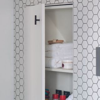 Bathroom storage cupboard built into wall with sloped ceilings.