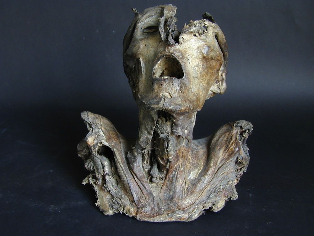 Mummified head anatomical specimen