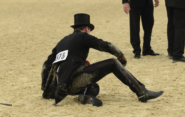 Horse of the year show 2013 - HOYS - SUPREME HORSE OF THE YEAR C