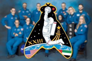 The class patch for NASA's 23rd group of astronaut candidates, nicknamed "The Flies." 
