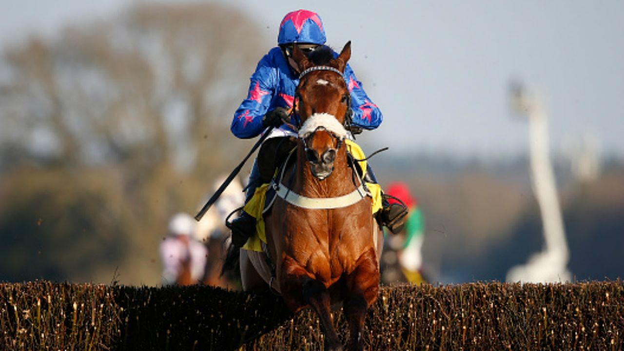 Cue Card, Paddy Brennam, Cheltenham Gold Cup