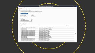 The Burp Suite interface