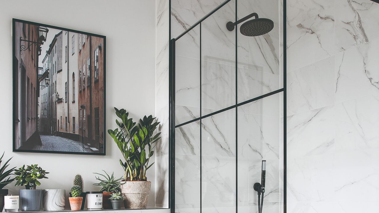 A bathroom with a shower separated by a glass screen