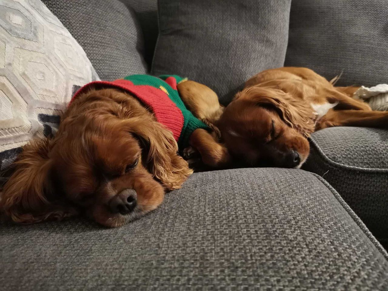 Ruben And Charlie