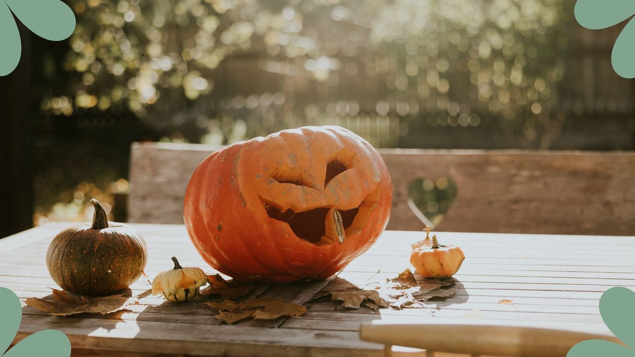 picture of a carved pumpkin and two smaller ones on garden table 