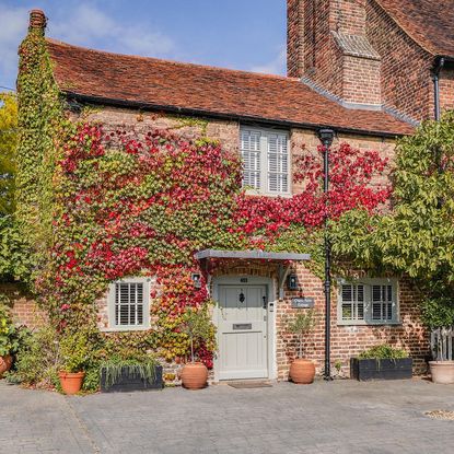 This chocolate box Surrey cottage is as beautiful indoors as it is ...