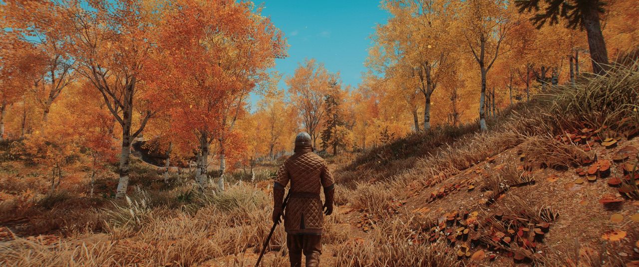 Modded Skyrim