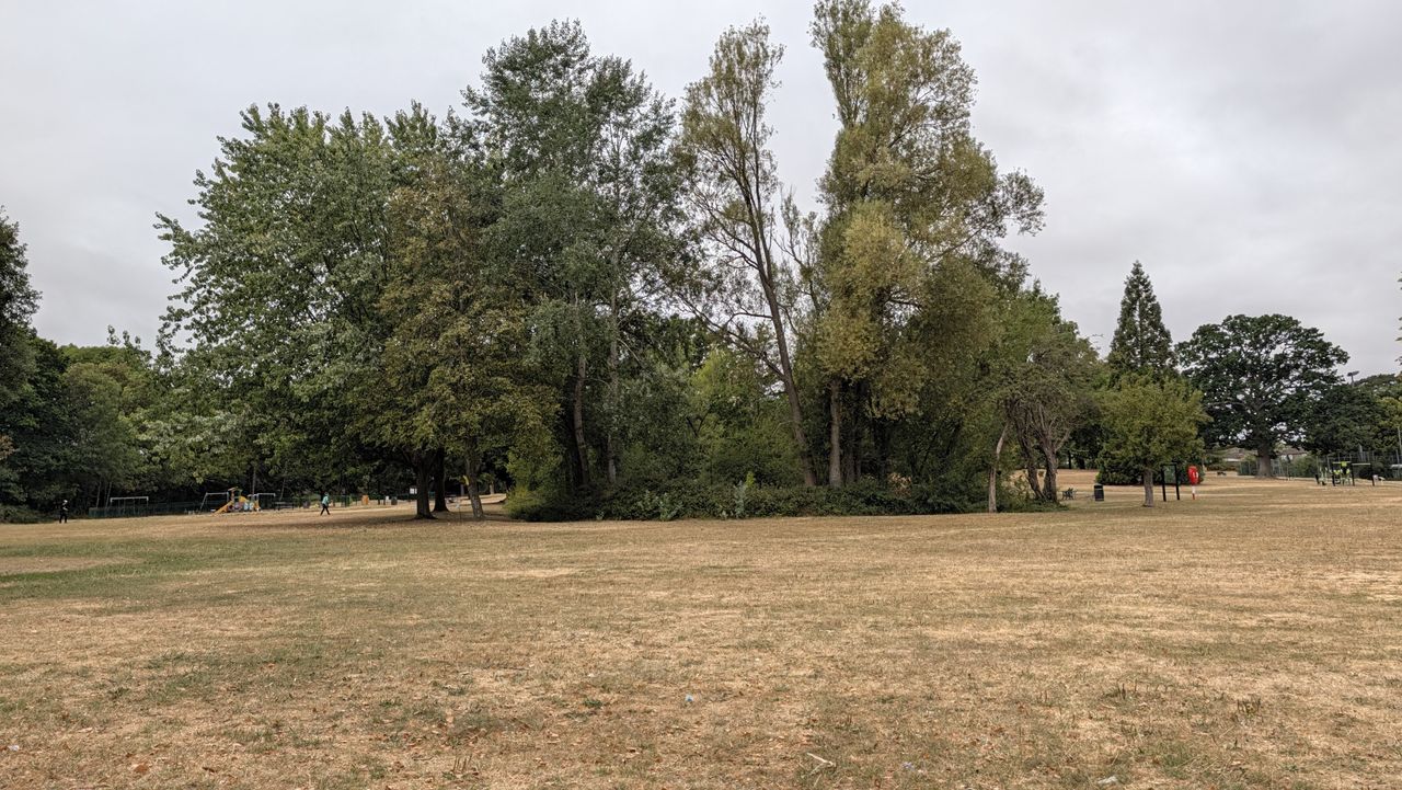 Google Pixel 11 Pro review sample image &ndash;&nbsp;main