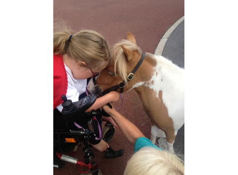 Pukka up: Annie is regularly visited by the ponies