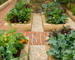 Raised beds in potager garden