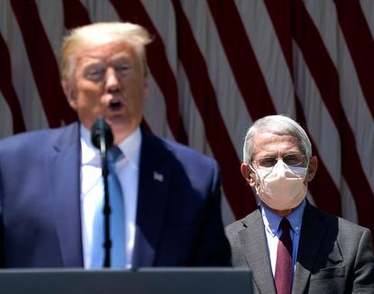 President Trump and Dr. Anthony Fauci.