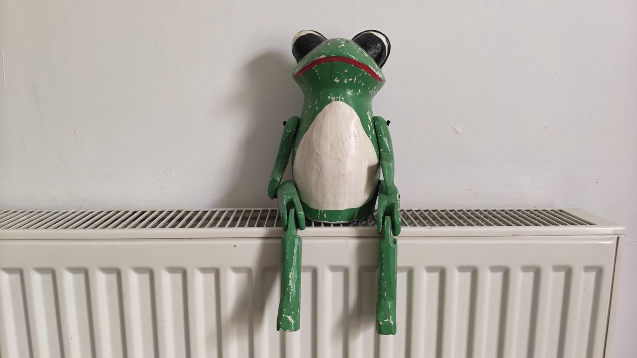 Photo of frog ornament sitting on radiator, taken on Oppo Reno 16 5G