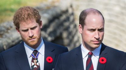 Prince William, Duke of Cambridge and Prince Harry walk through a trench during the commemorations for the 100th anniversary of the battle of Vimy Ridge on April 9, 2017 in Lille, France
