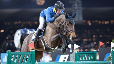 Pictured German showjumping Christian Ahlmann jumping stallion D'Aganix 2000 Z.