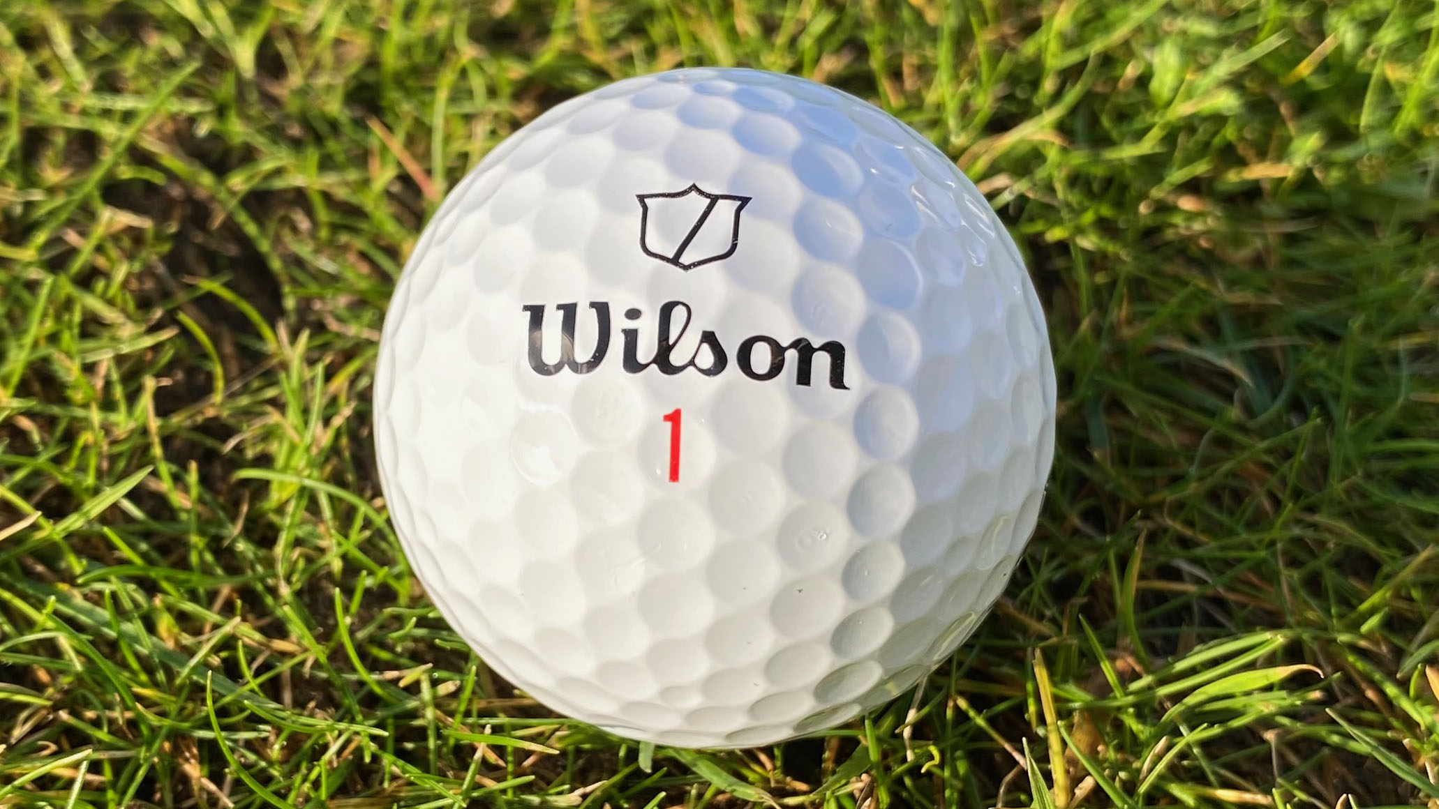 Photo of the Wilson Staff Model X Golf Ball close up
