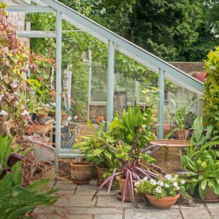 a lean-to greenhouse with lots of planters inside and out