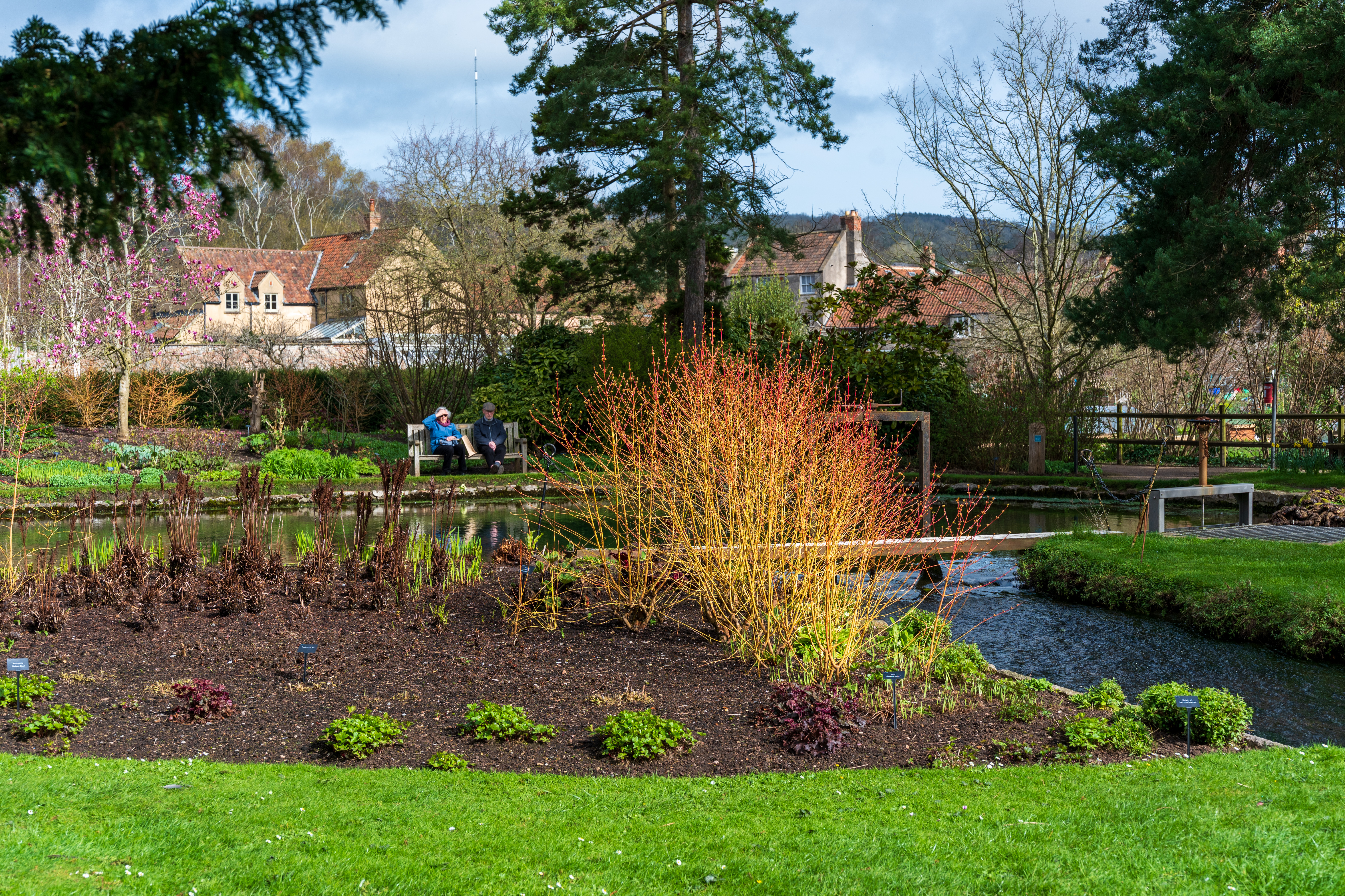 Viltrox AF 55mm f/1.8 Evo sample image