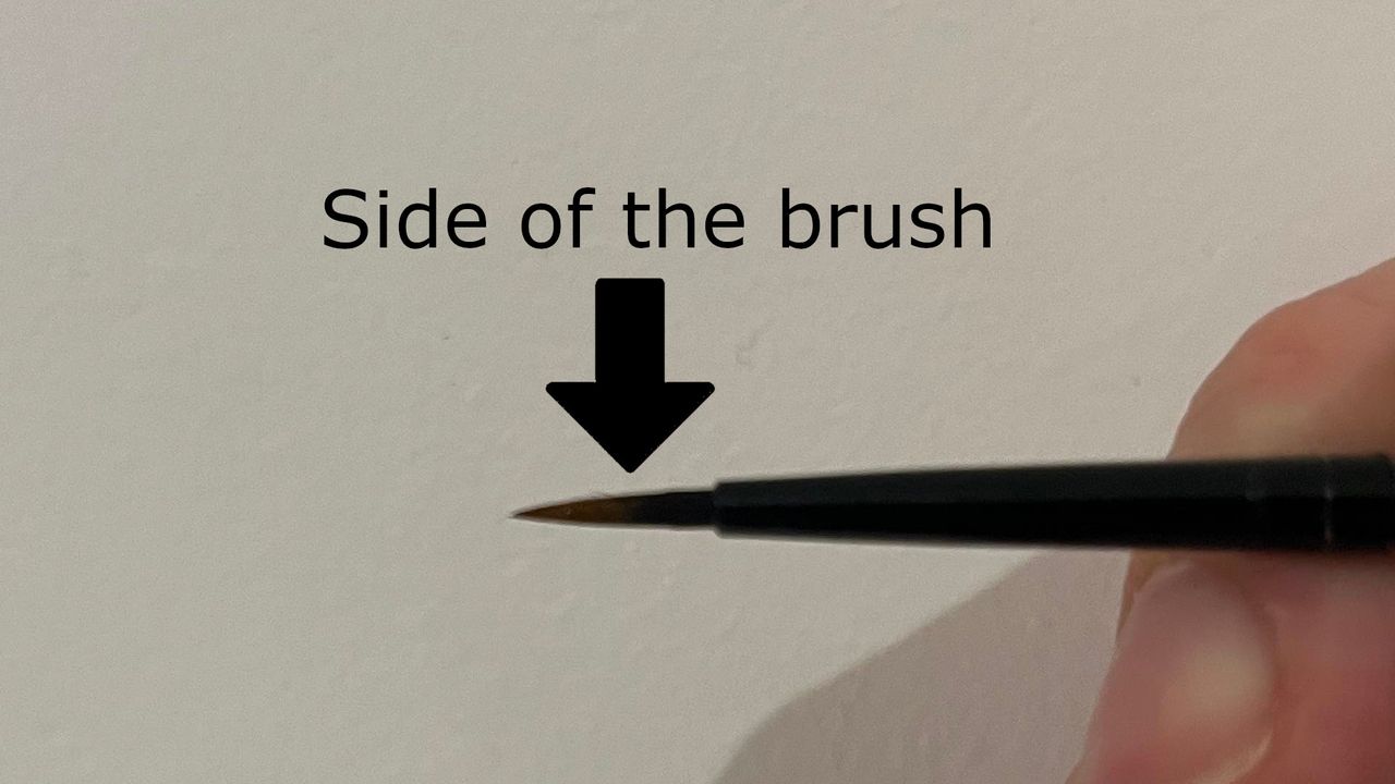 A diagram showing the side of a brush