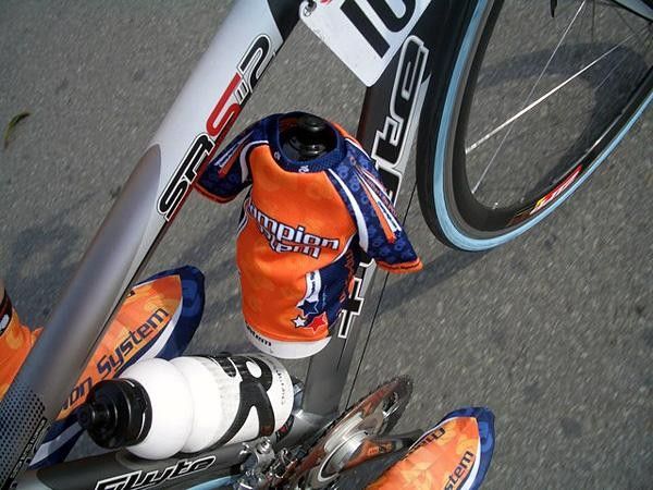 Special Champion System