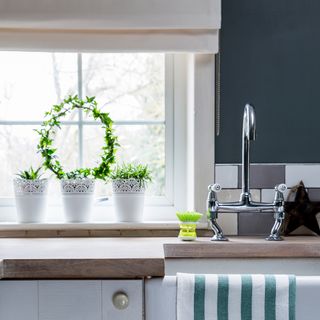 kitchen counter with plants pot