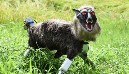 Japanese farmers are using large robotic wolves to scare off wild boars