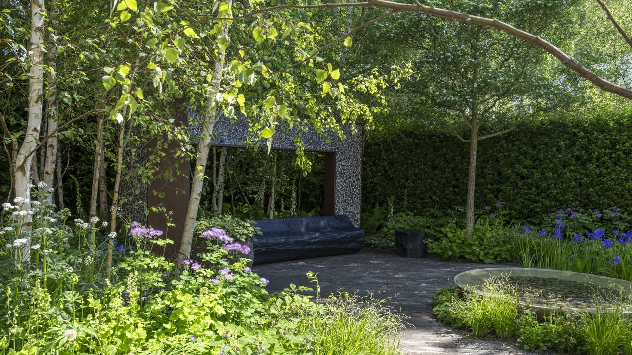 Forest Bathing Garden with water bowl, birch trees and lush planting