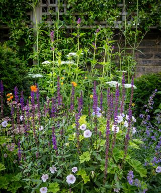 summer planting in the beds in a narrow walled garden designed by Butter Wakefield