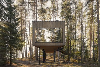 cabin in swedish forest at trakt forest hotel