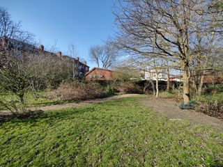 OnePlus 9 Pro camera samples