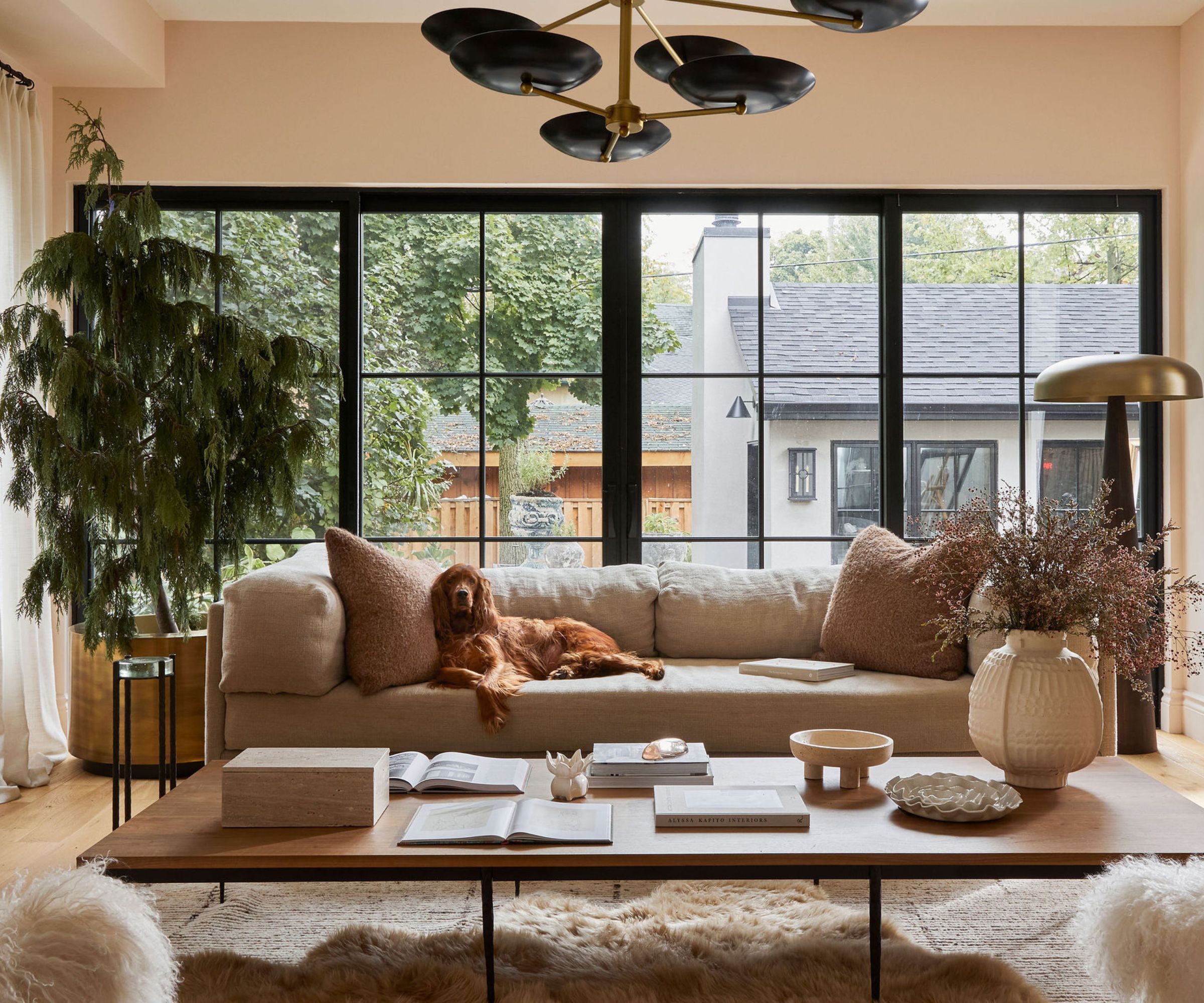 A neutral living room with large black metal windows taking up one wall. There is a large beige sofa with a dog sitting on it and a tree to the left hand side. In front is a large wooden coffee table