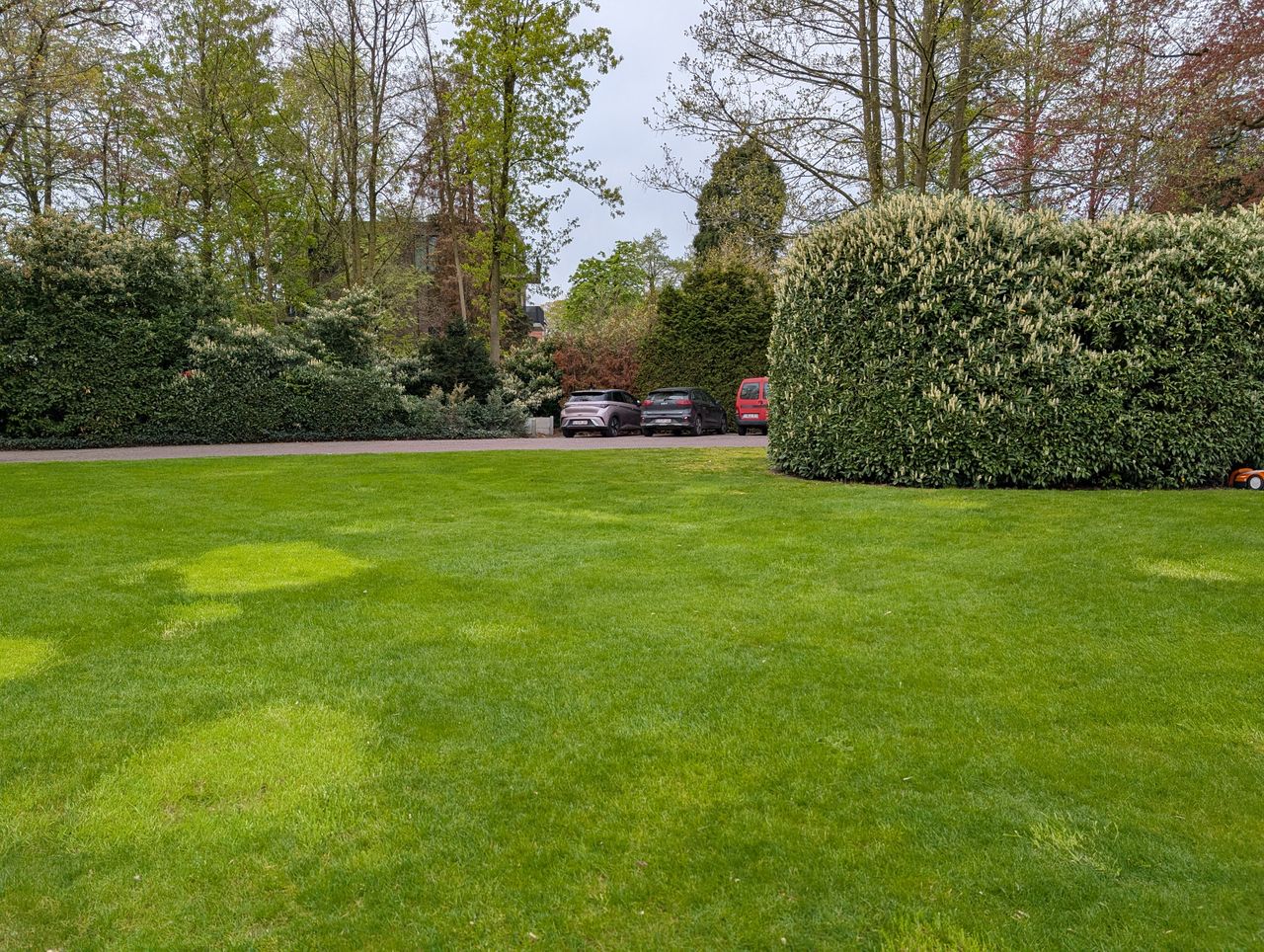 Google Pixel 8 Pro voorbeeldfoto