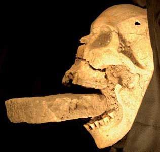 Medieval 'Vampire' Skull Found | Live Science