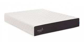 Cocoon by Sealy mattress sales, deals and discounts: Image shows the Cocoon by Sealy Chill Memory Foam Mattress on a white background
