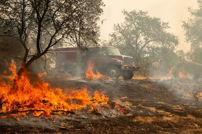 Firefighters douse a hotspot near various homes as the Carr fire continues to burn near Redding, California, on July 28, 2018. 