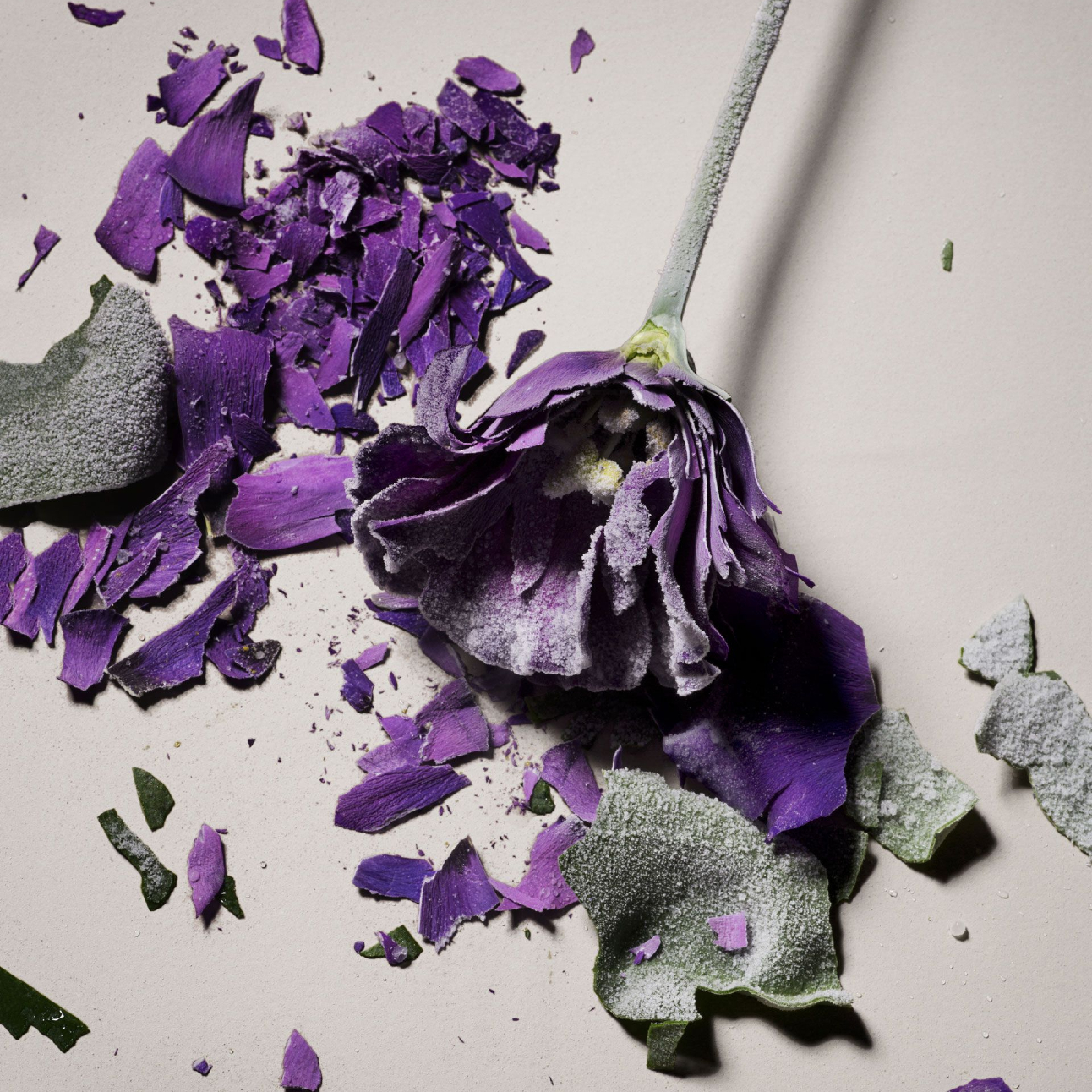 art imitating a flower