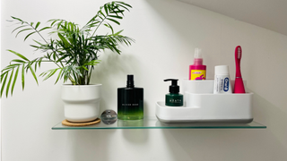 A bathroom shelf with a plant and organizer on it.