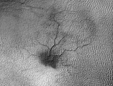 This image by NASA's Mars Reconnaissance Orbiter shows a network of cracks that may be growing into a larger feature dubbed a "spider."